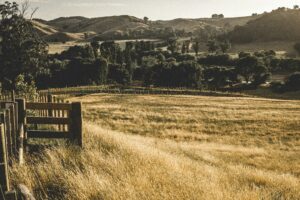 Countryside with a wooden fence